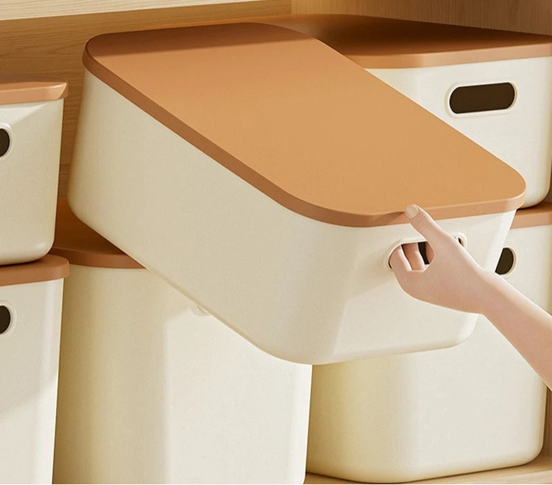 Caixa Organizadora de Plástico com Tampa Multiuso"